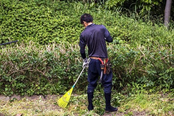 草刈り機による除草作業