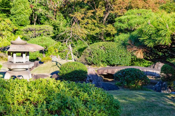 刈り込みを施した庭園